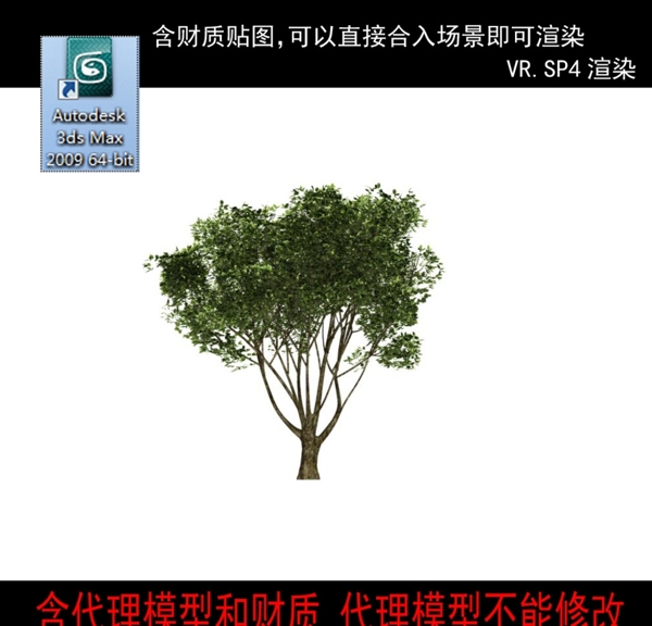 代理樹