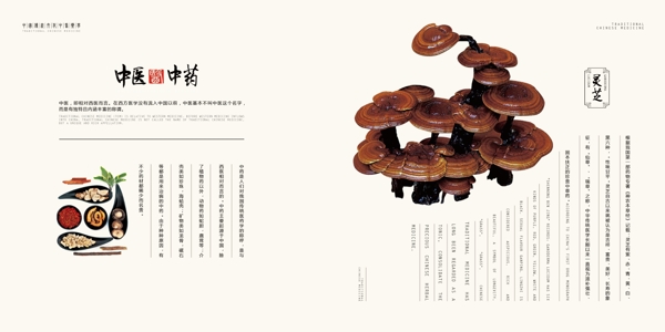 中國風(fēng)中式中醫(yī)醫(yī)藥傳統(tǒng)文化畫冊