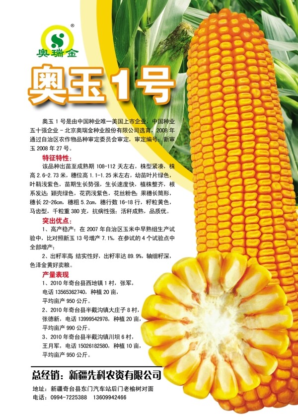 玉米种子宣传单图片