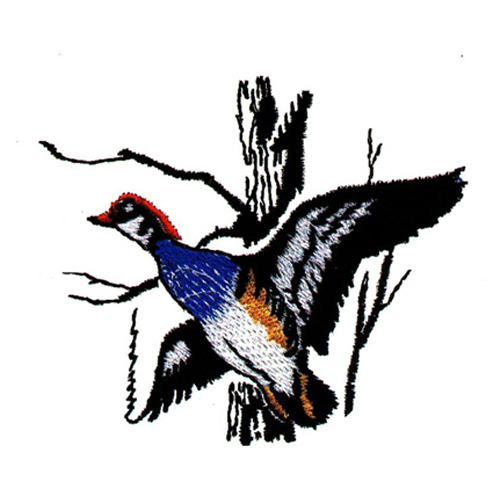 繡花動物鳥類色彩褐色免費素材