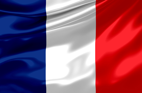 布纹法国国旗图片