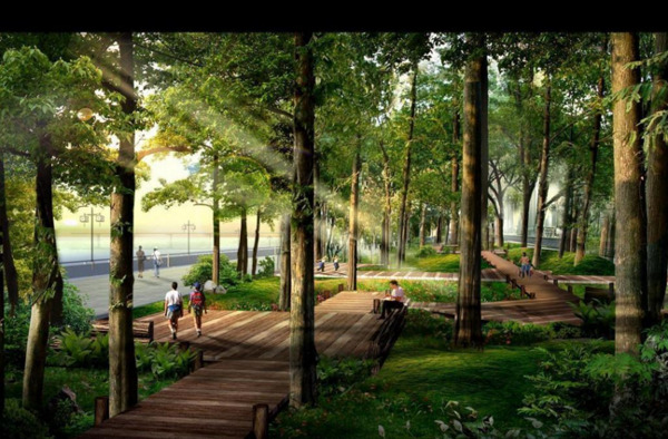 小区园林绿化设计图片