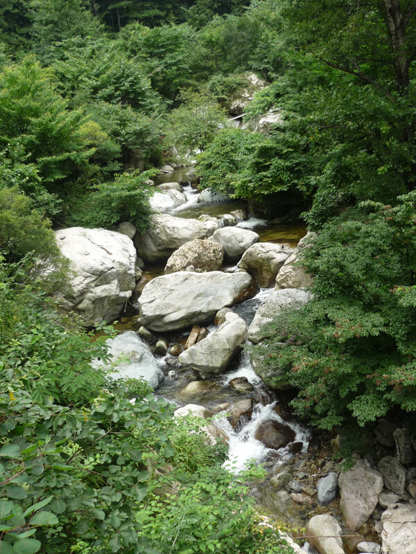 洛陽風(fēng)景欣賞