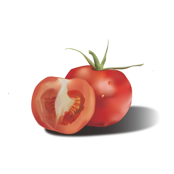 矢量西红柿番茄