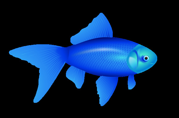 免抠PNG图蓝色鱼动物