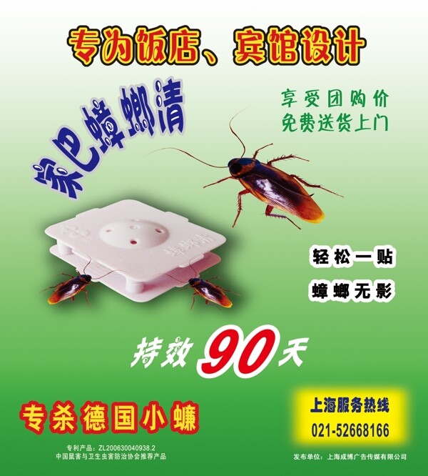 家巴蟑螂清圖片