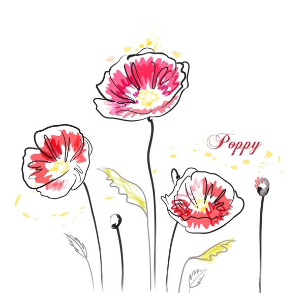 手绘矢量罂粟花线条花朵