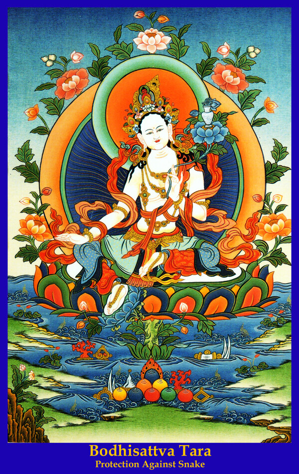 二十一度母圖片