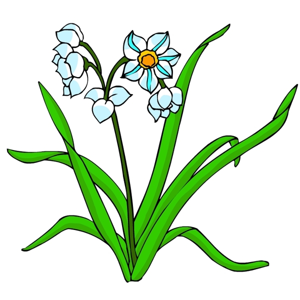 花卉古典插畫