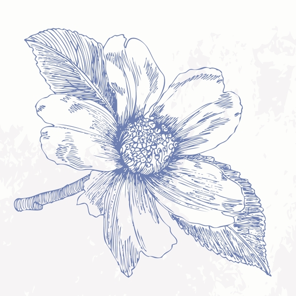 歐美花紋2063矢量EPS
