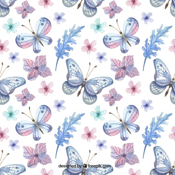 蝴蝶和花卉背景图片