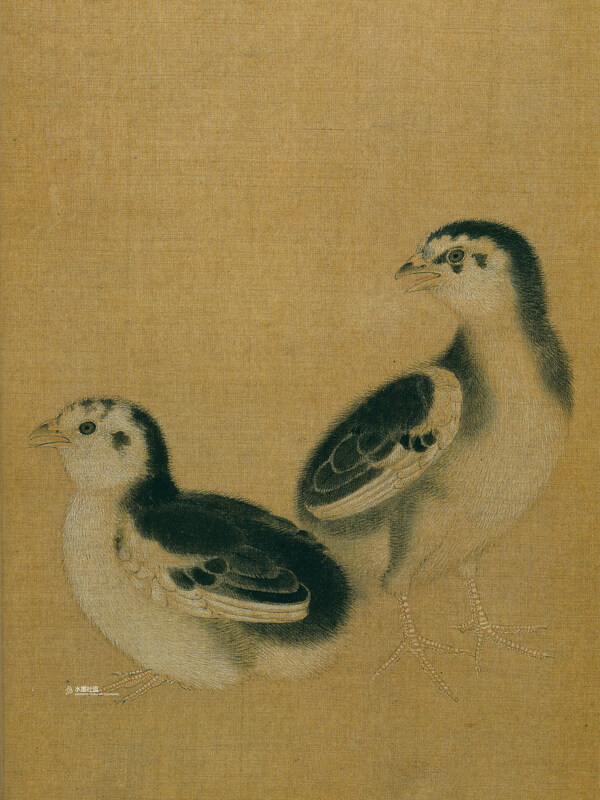 李迪雞雛待飼頁
