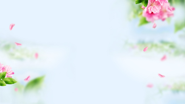 清新粉色花朵淘寶全屏banner背景