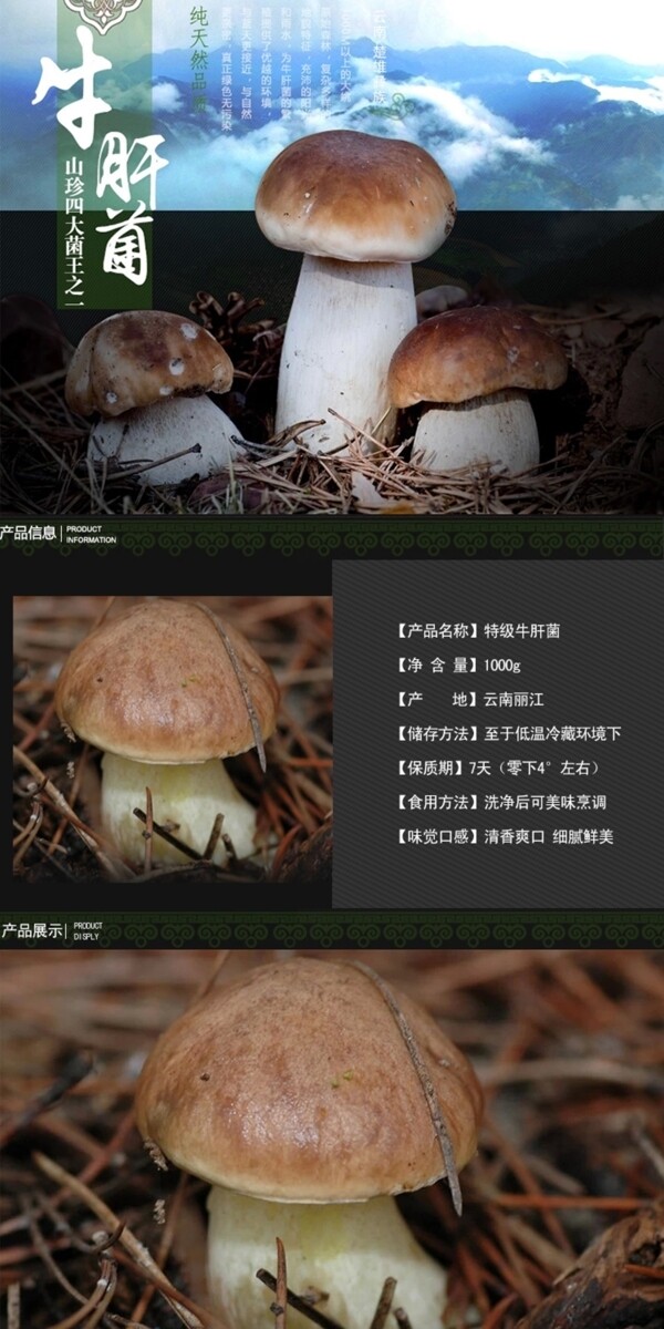 淘寶詳情頁(yè)牛肝菌背景圖片高清psd下載
