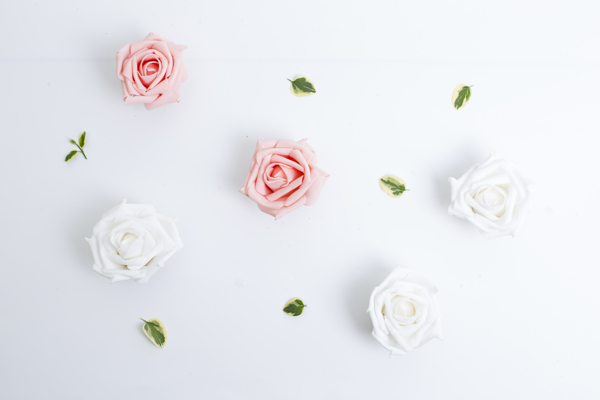 淡雅白色玫瑰花背景