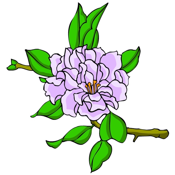 花卉古典插畫