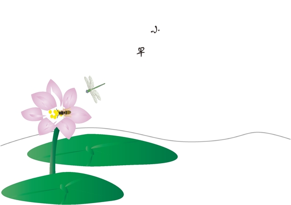 荷花圖片
