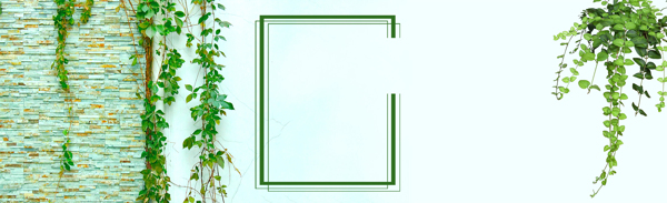 清新綠色植物淘寶全屏banner背景