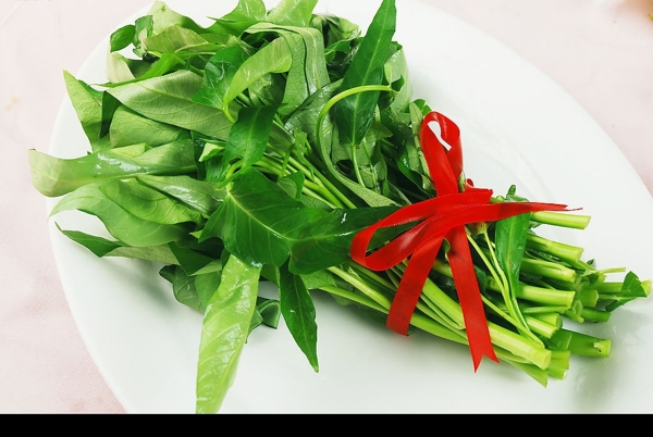 空心菜圖片
