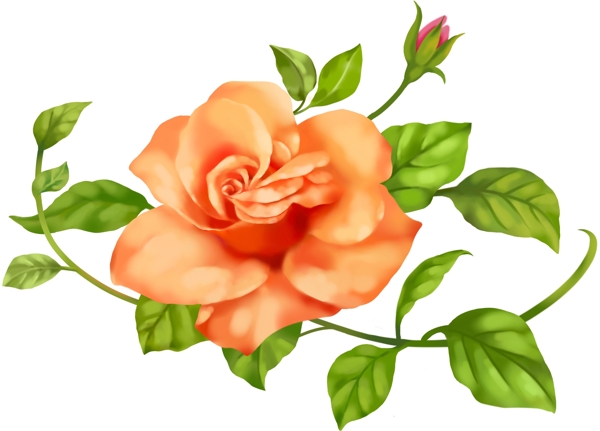 時尚花朵13