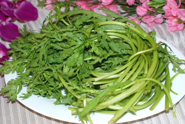 桐蒿菜