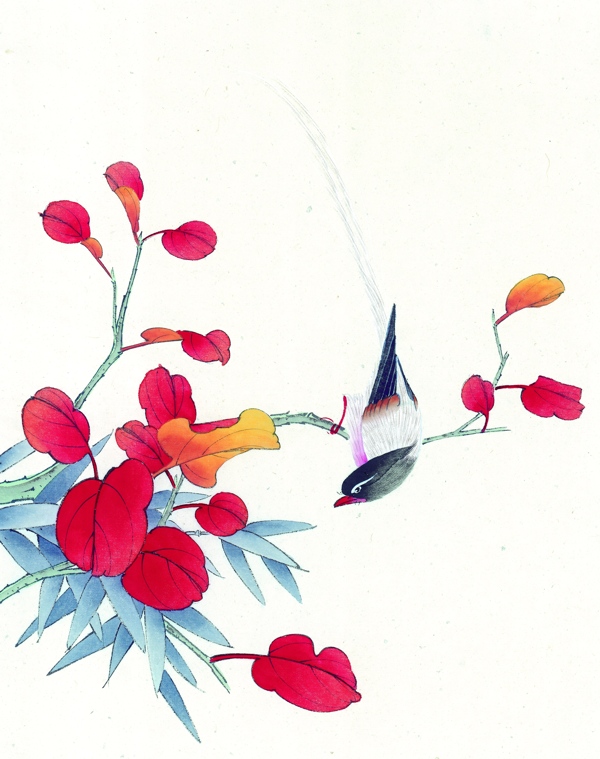 杜鵑花鳥圖