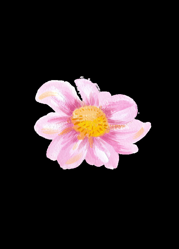 水粉花卉素材花型