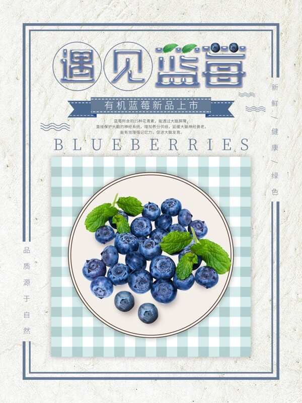 藍色小清新創(chuàng)意藍莓海報設(shè)計