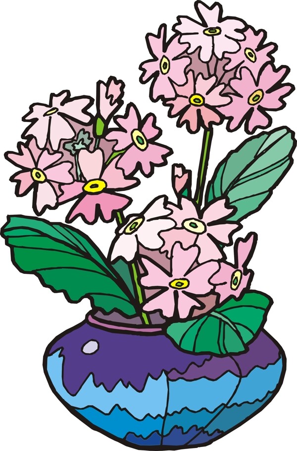 盆景花卉