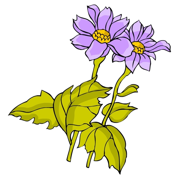 花卉古典插畫