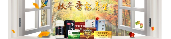 秋季养生图