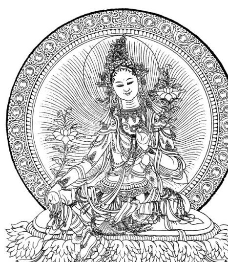 綠度母線描圖度圖片