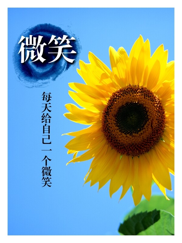 學(xué)校展板微笑