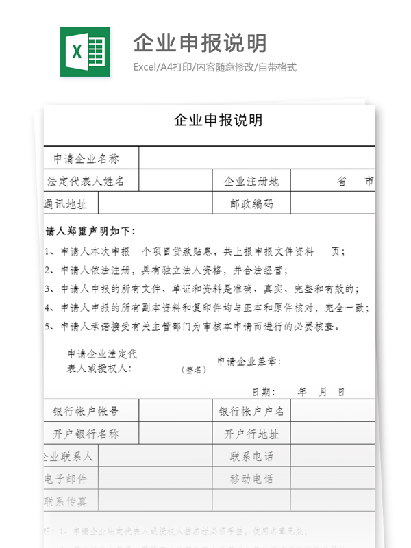 企業(yè)申報說明excel模板