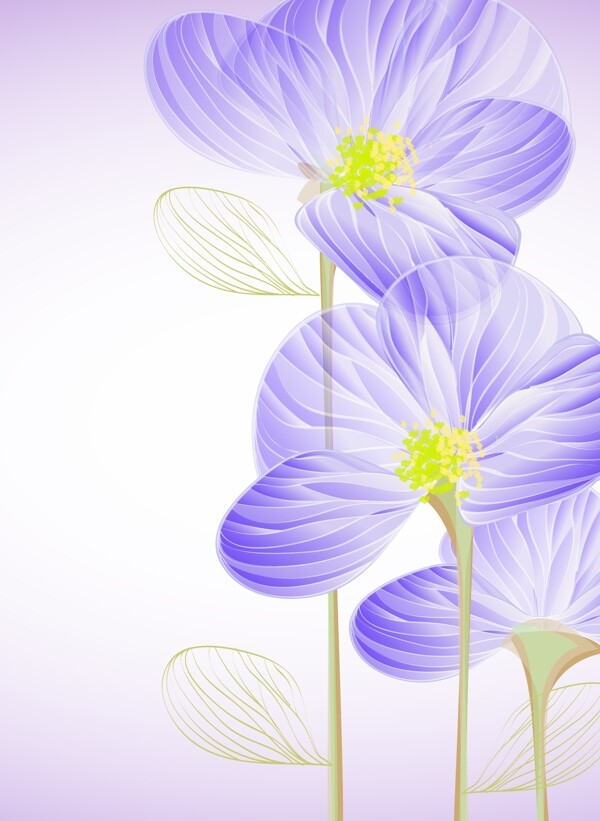 蓝紫色的桔梗花