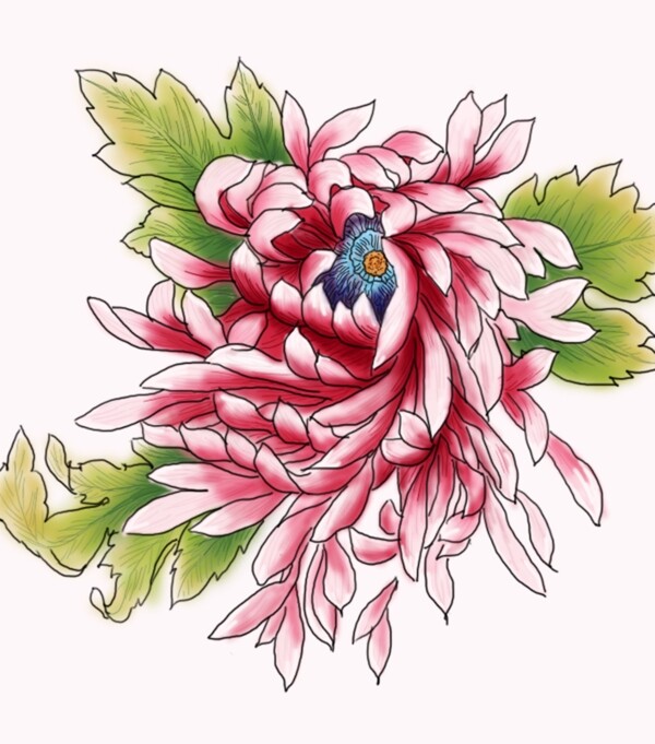 手绘菊花装饰素材
