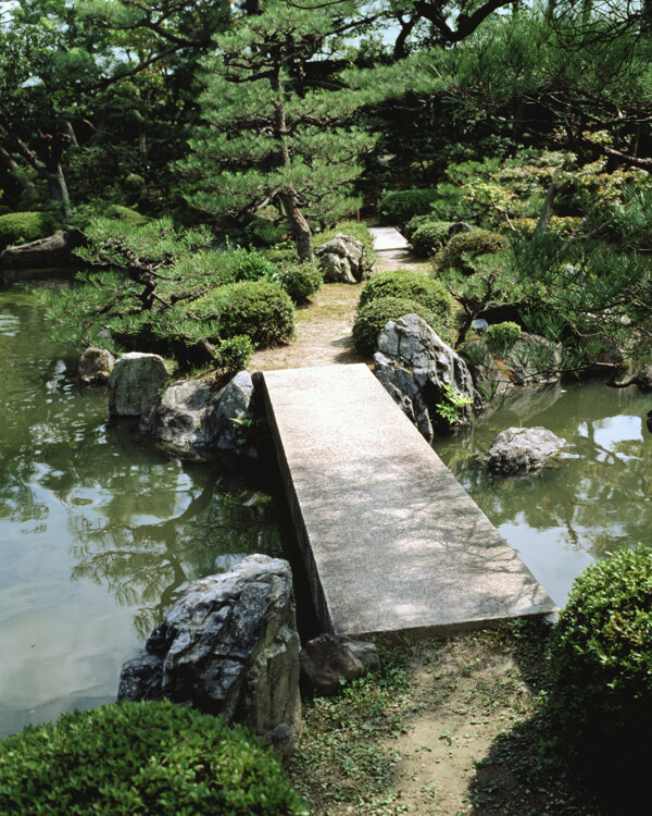 秀水08