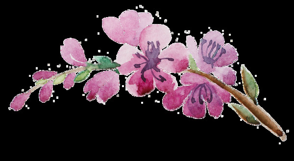 玫红桃花枝卡通透明装饰素材