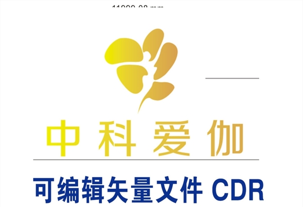 中科