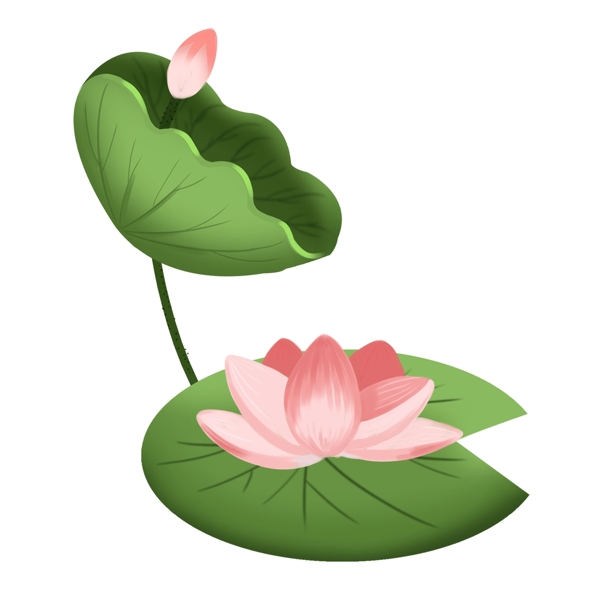 綠色清新風(fēng)荷花透明素材