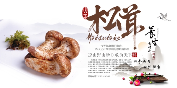 野菌山珍食材養(yǎng)生海報