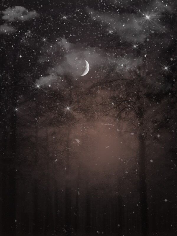 夜晚森林星空月色