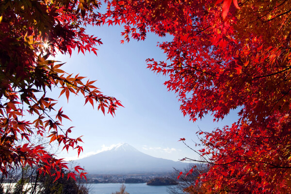 日本富士山圖片