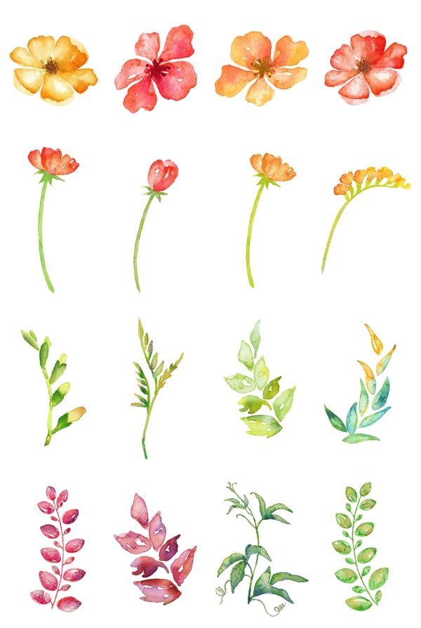 花朵樹葉
