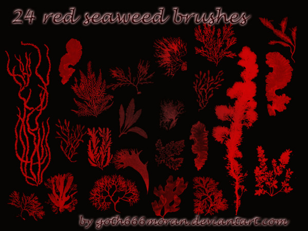 24款海底海藻效果PS笔刷
