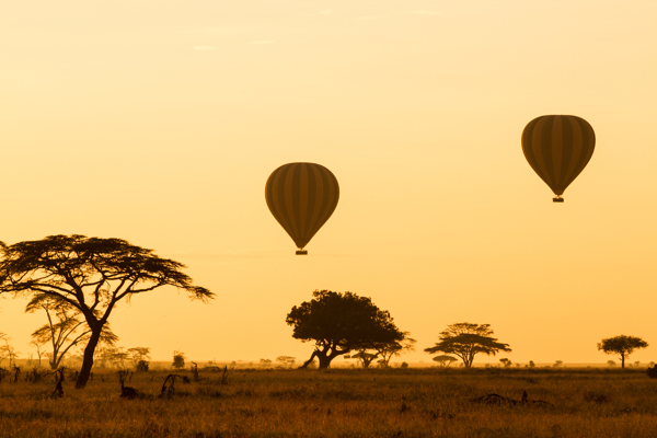 非洲草原上的热气球图片