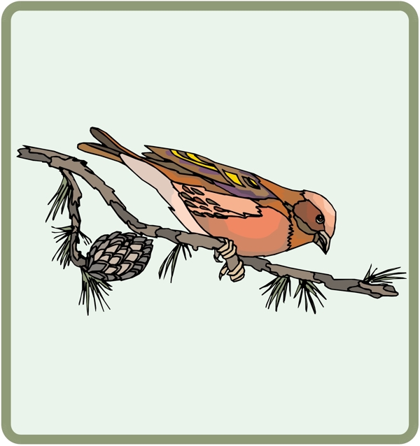 各種鳥類鳥動物矢量素材EPS格式0459