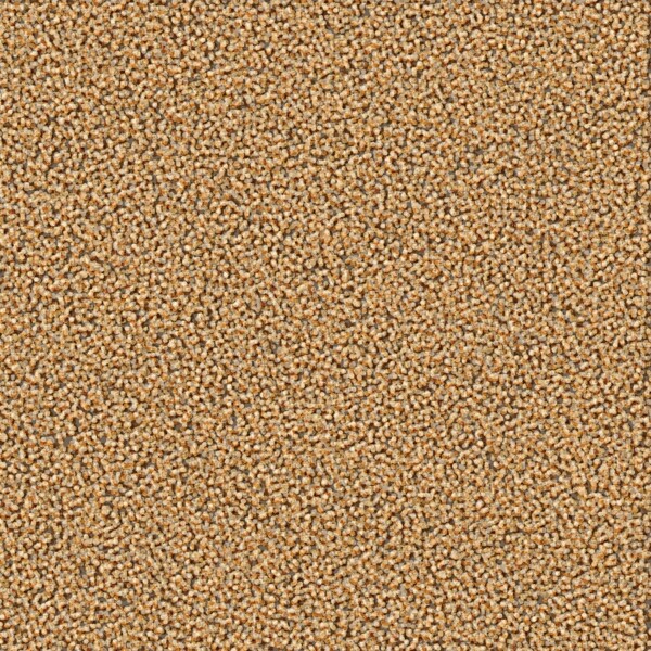 紋理砂矢量背景