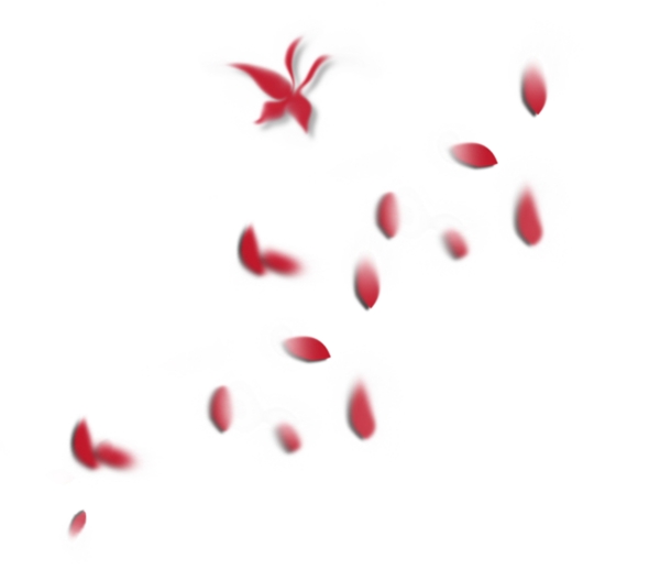 红色花瓣漂浮PNG素材