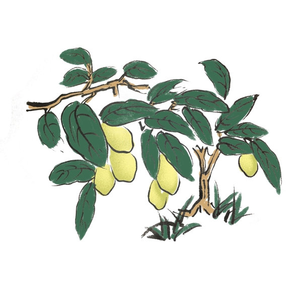 夏天柠檬树水墨手绘插画